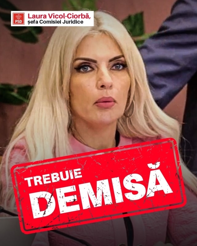 Laura Vicol, președinta Comisiei juridice din Camera Deputaților